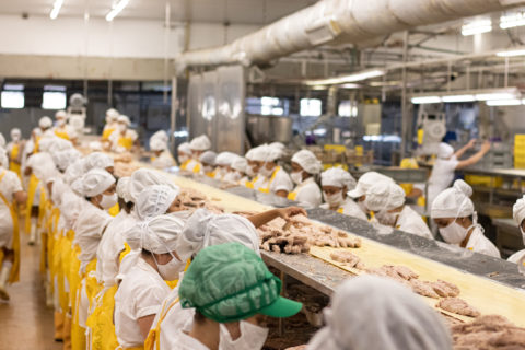 Processing – Tri Marine Group