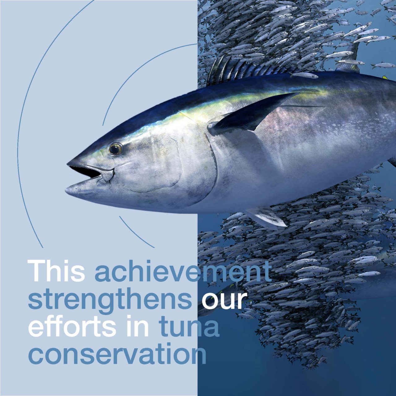 Tri Marine Attains MSC Certification for Skipjack Tuna in the Eastern Pacific for its Spanish